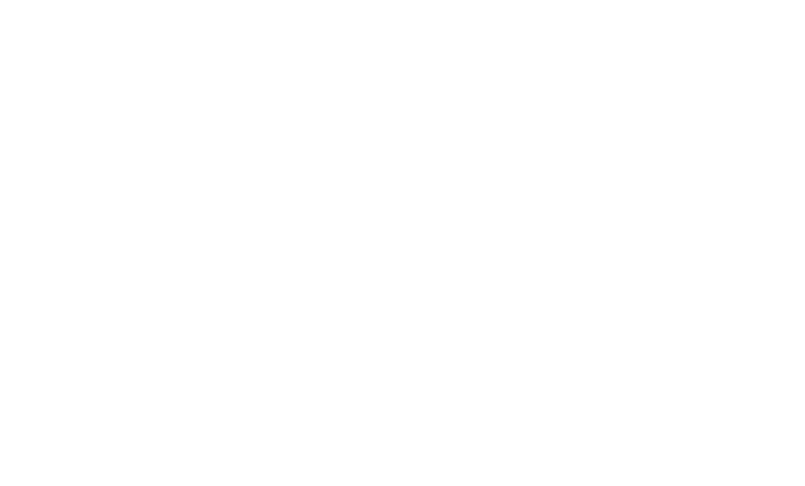 IBS Logo